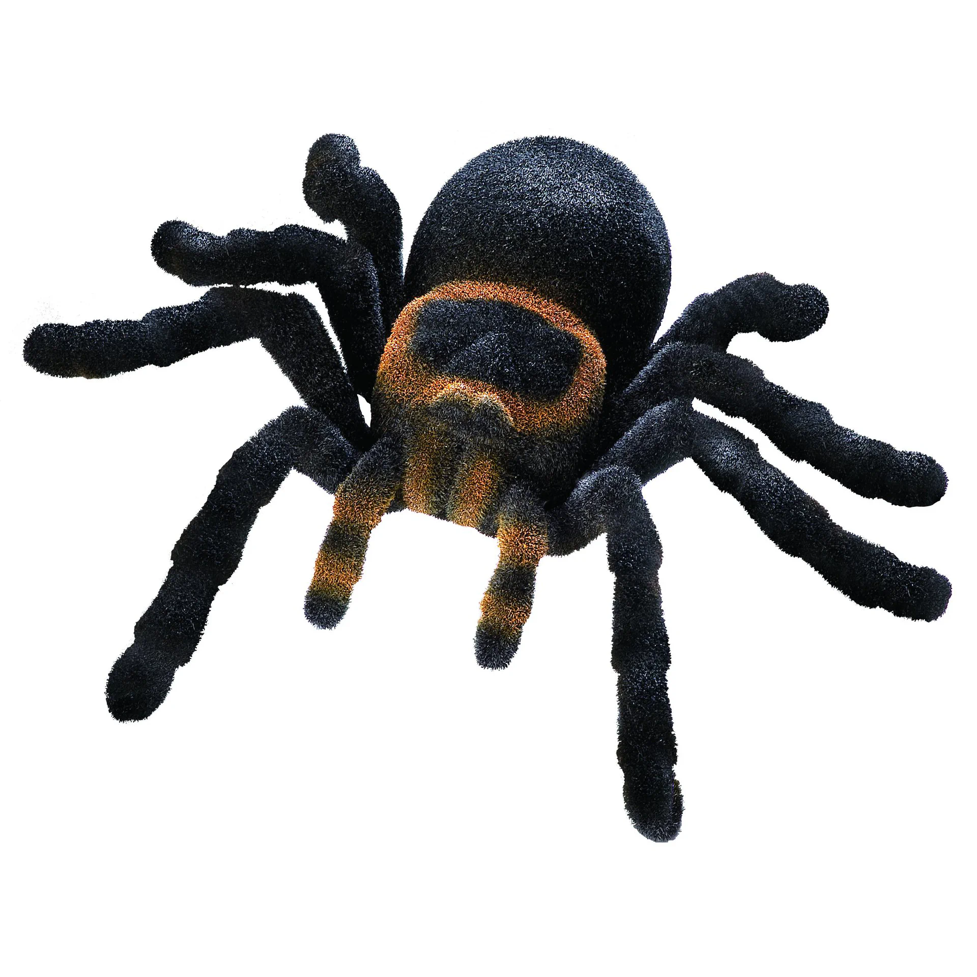 Radio Control Tarantula