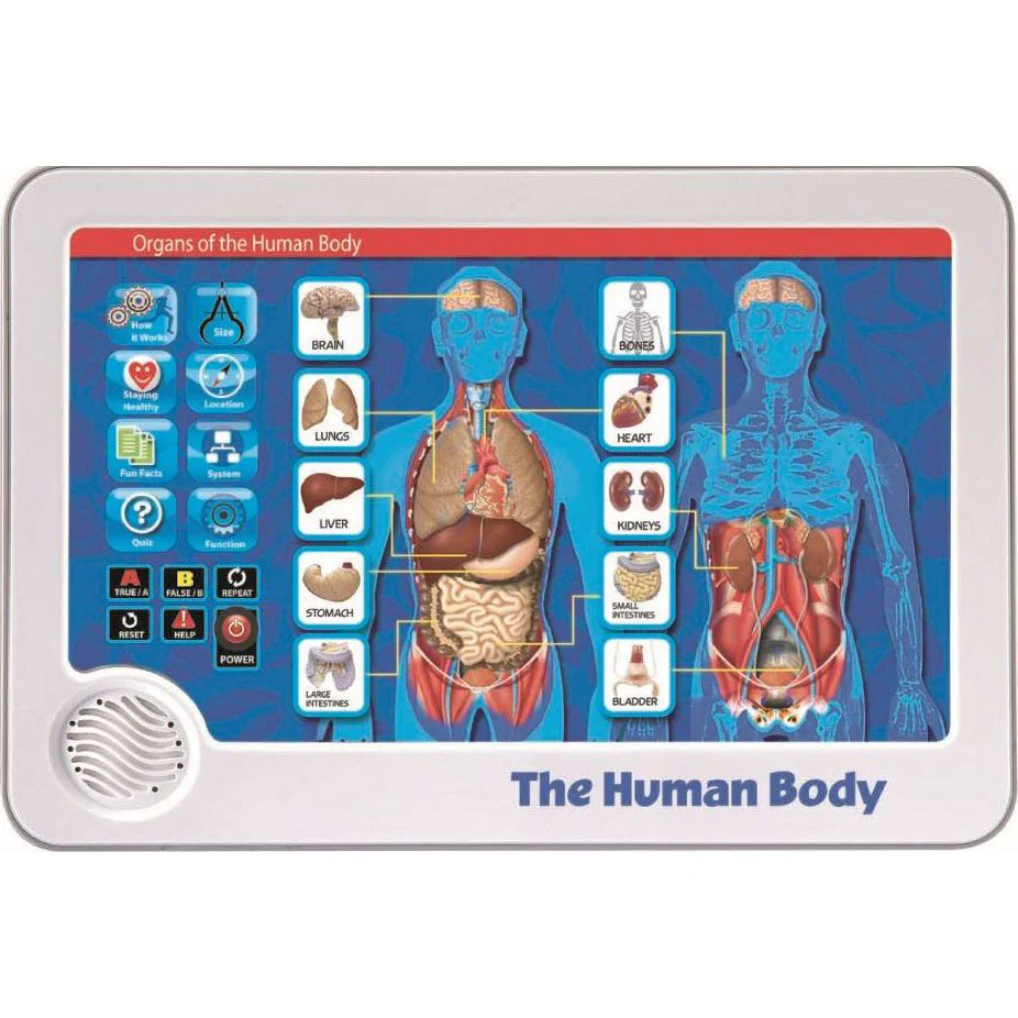 Touchpad Human Body
